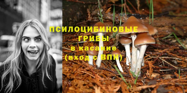 mix Вяземский