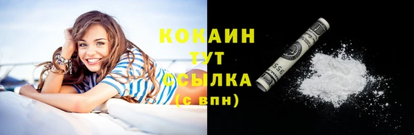 mix Вяземский