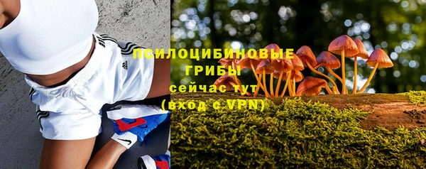 mix Вяземский