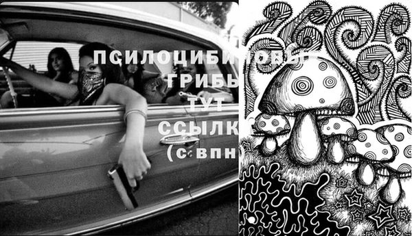 эйфоретик Вязьма